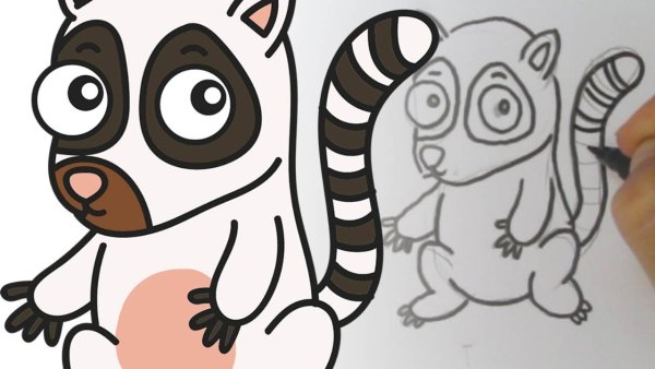Поэтапное рисование лемура для детей