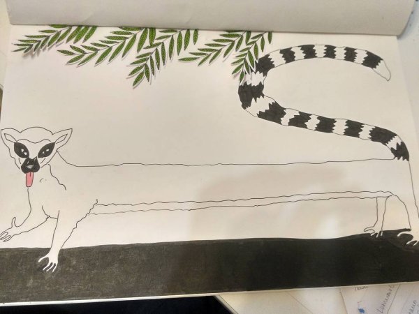 Лемур пошагово рисунок