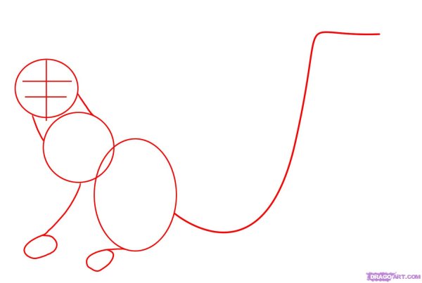 Лемур рисунок поэтапно