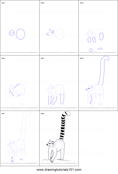 Лемур пошагово рисунок