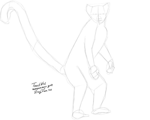 Лемур пошагово рисунок