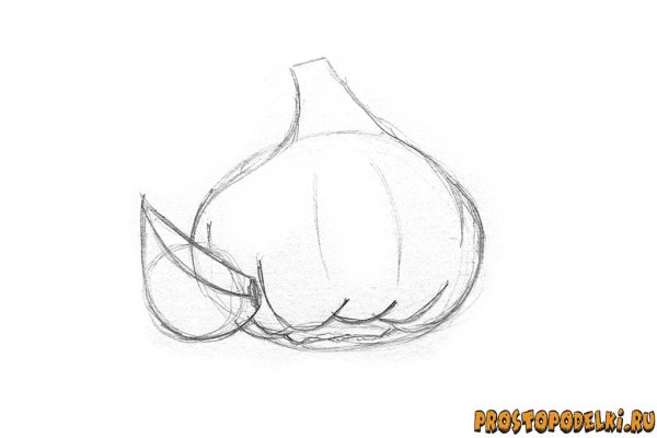 Поэтапный рисунок чеснока