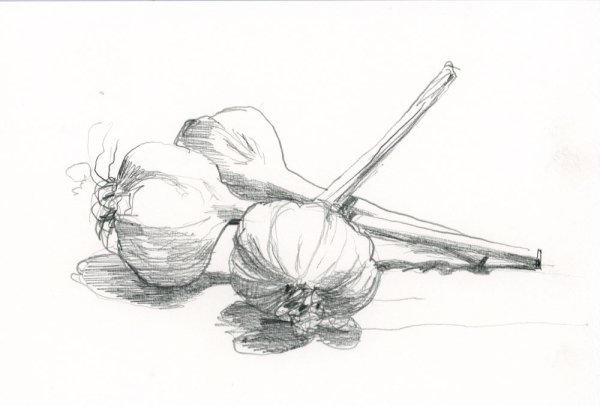 Чеснок карандашом