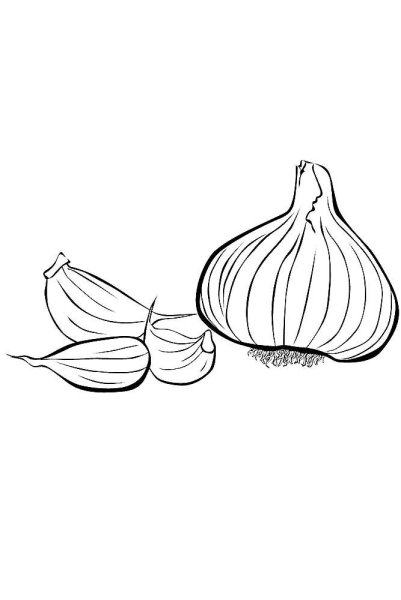 Чеснок раскраска