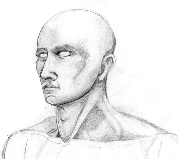 Шея рисунок карандашом