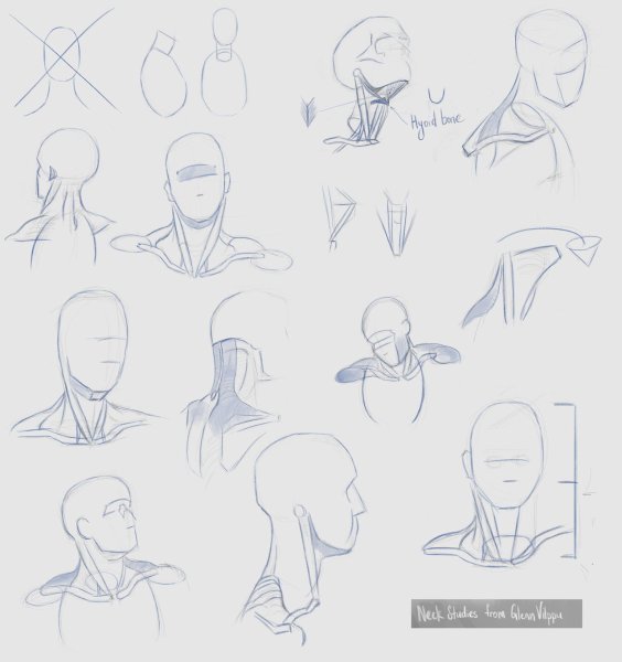 Шея и голова туториал