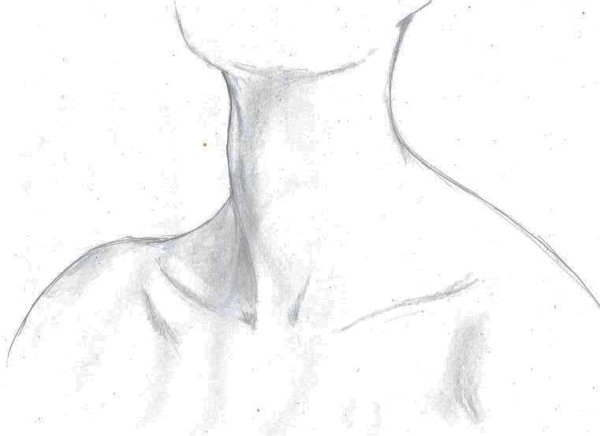 Рисование ключиц