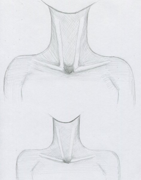 Рисование ключиц