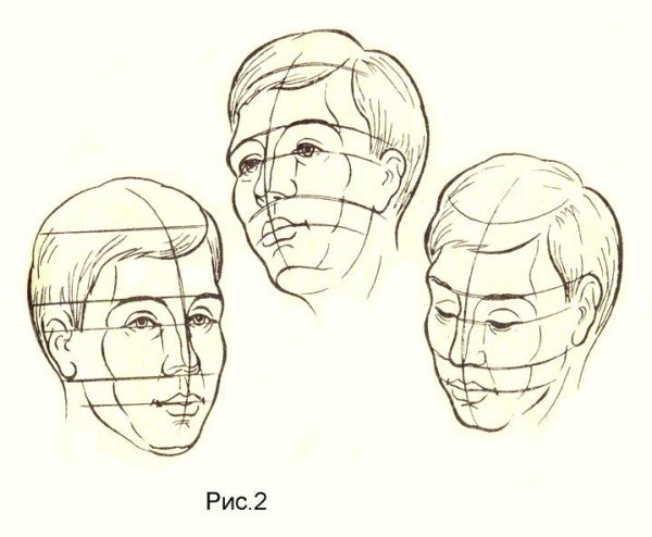 Пропорции головы человека рисунок