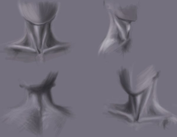 Рисование ключиц