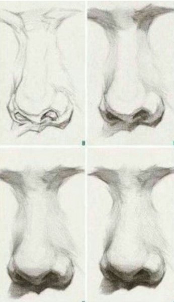 Этапы рисования носа