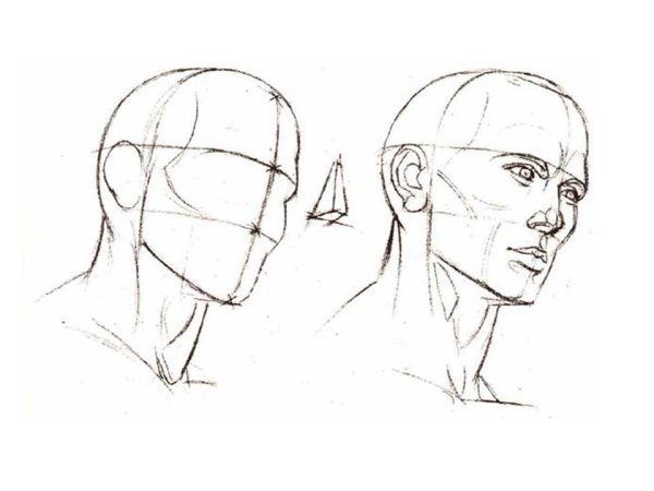 Построение лица