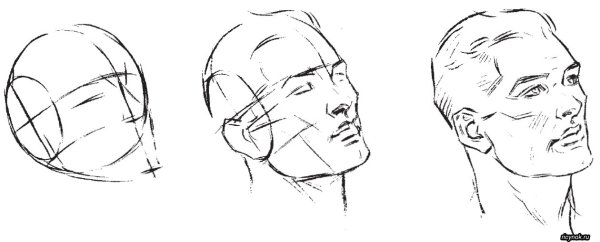 Поэтапное рисование головы человека