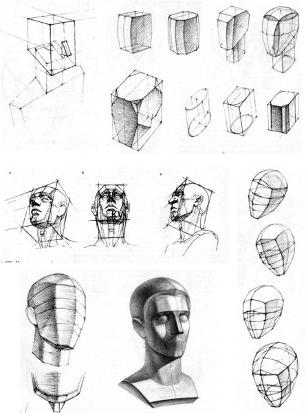 Построение обрубовки головы Гудона