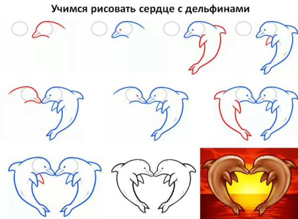 Дельфин как нарисовать поэтапно