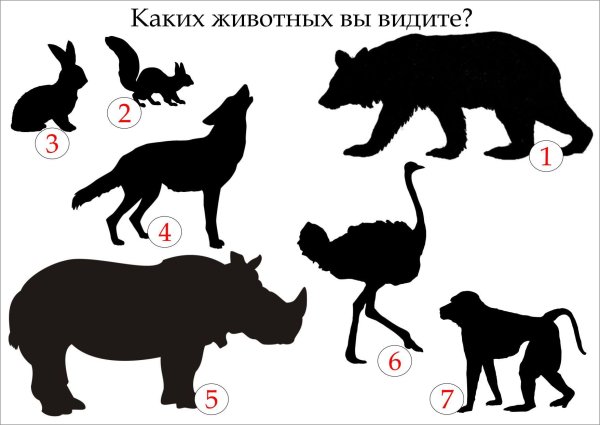 Пятно силуэт