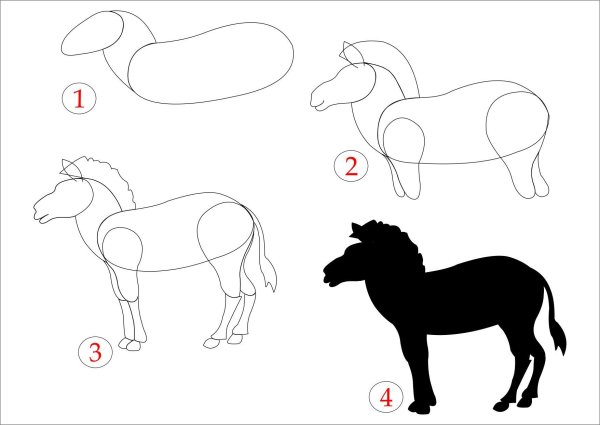Животные схема рисования