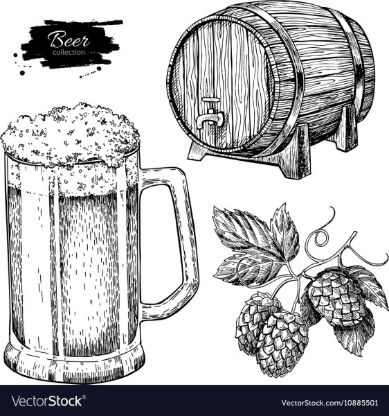 Кружка пива с хмелем вектор