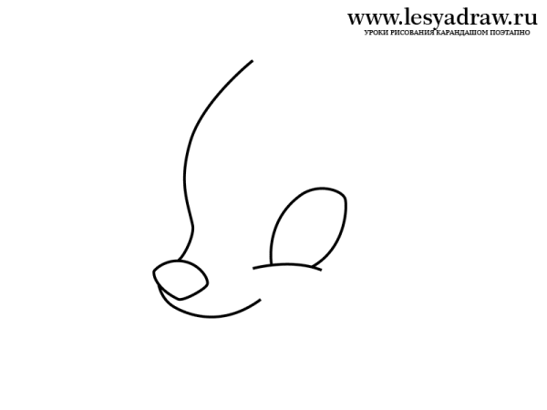 Бэмби карандашом пошагово