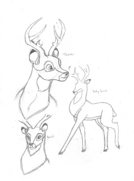 Бэмби рисунок карандашом для срисовки