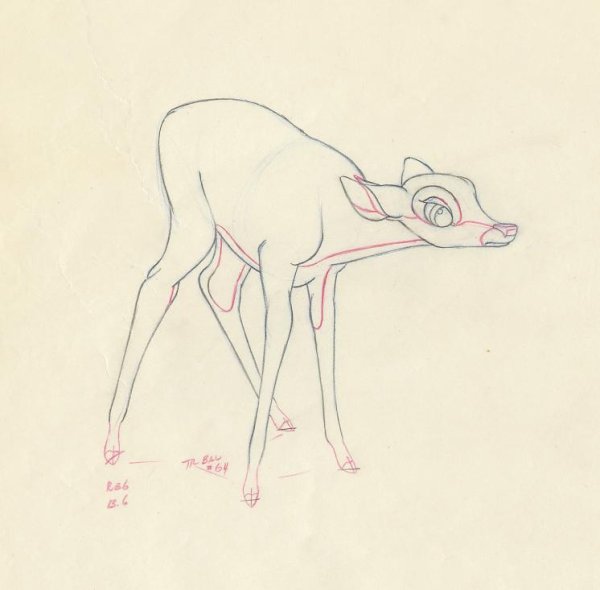 Анатомия в Бэмби