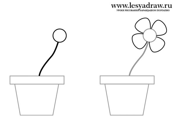 Поэтапное рисование комнатных растений