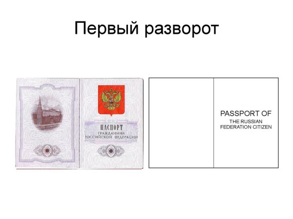 Этапы рисования птиц для детей