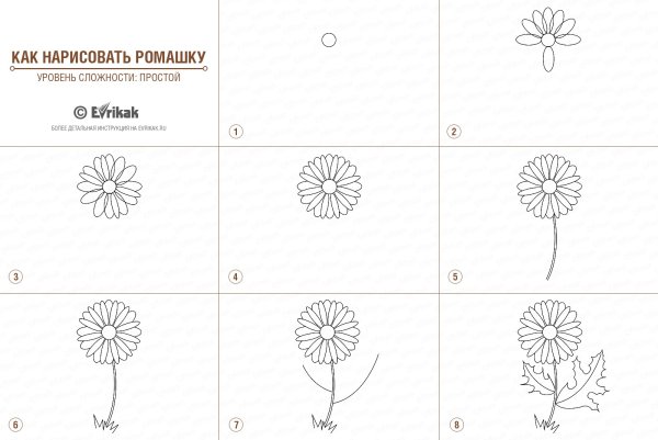 Поэтапное рисование березы