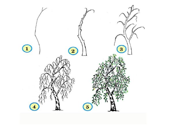 Схемы рисования машин для дошкольников