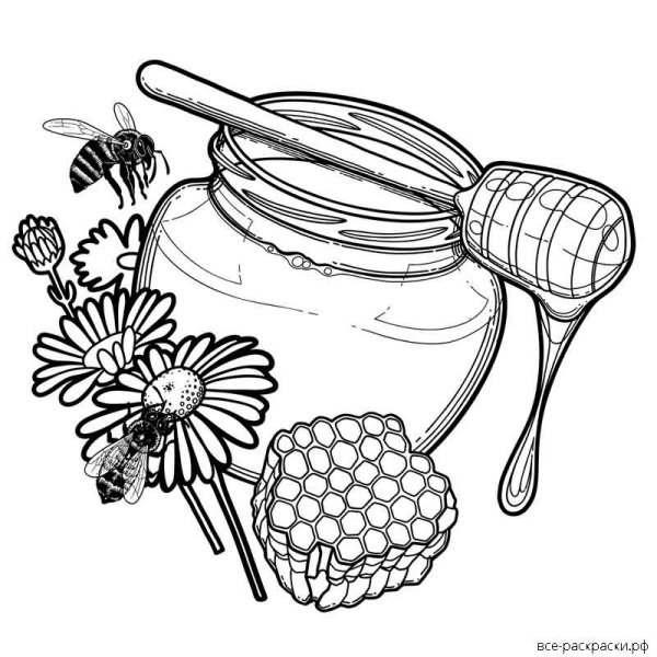 Мед раскраска для детей