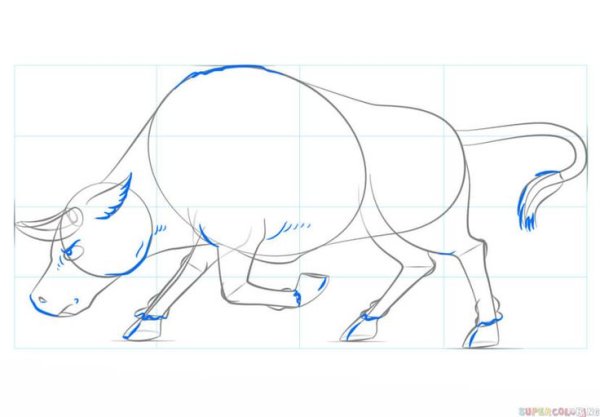 Поэтапное рисование быка