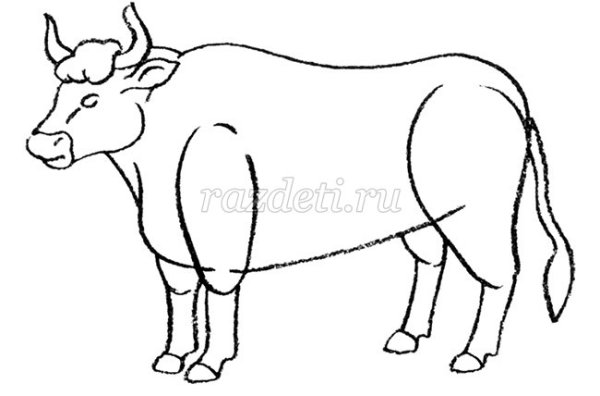 Этапы рисования быка
