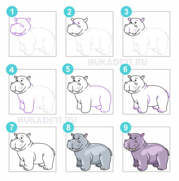 Бегемот поэтапное рисование для детей