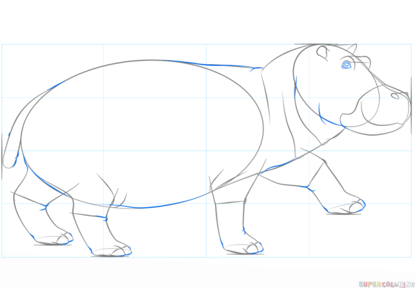 Бегемот поэтапное рисование для детей