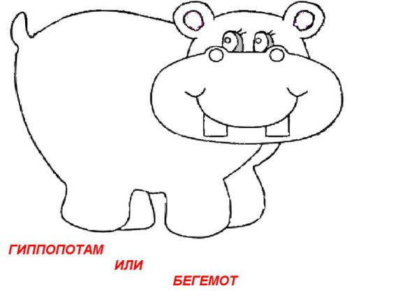 Бегемот поэтапное рисование для детей
