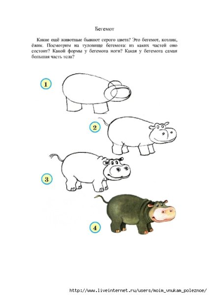 Бегемот рисунок поэтапно
