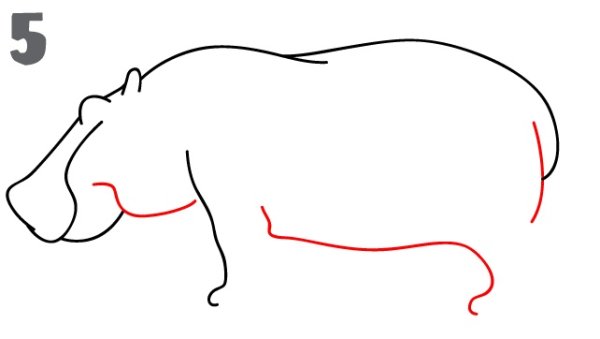 Бегемот в разных стилях рисовки