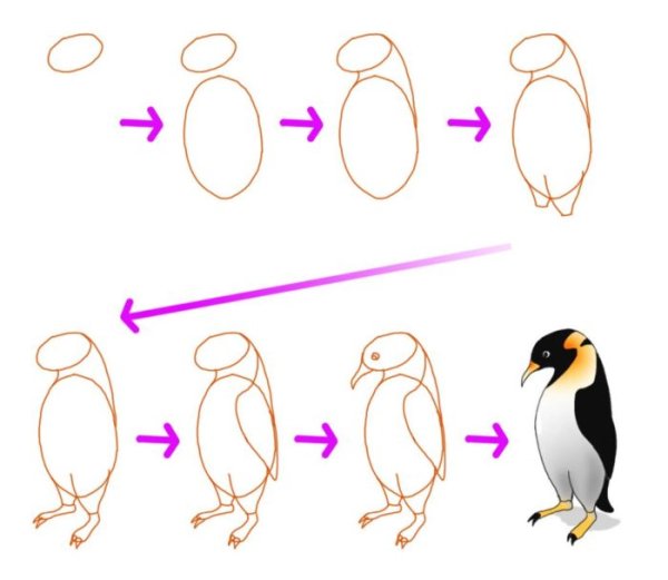 Поэтапное рисование пингвина для детей
