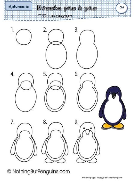 Как нарисовать пингвина