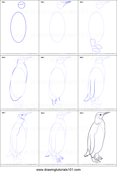 Поэтапное рисование пингвина для дошкольников