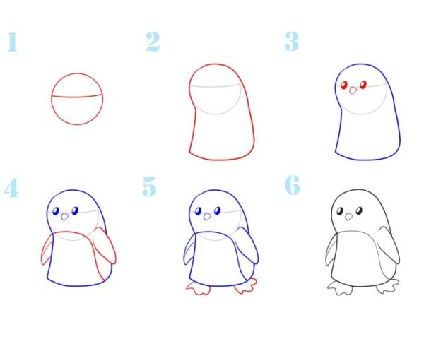 Пингвин рисунок карандашом для начинающих