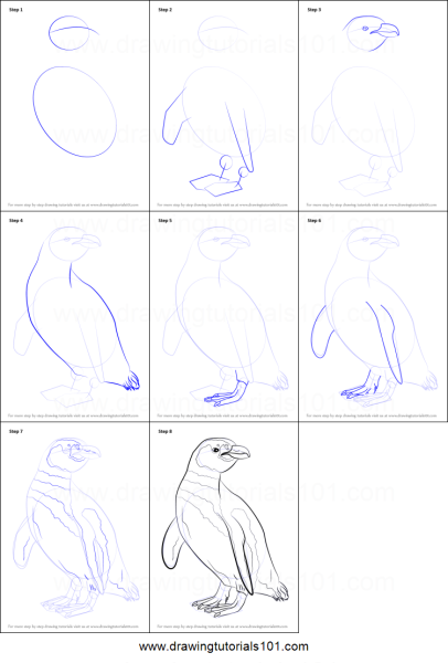 Этапы рисования пингвина для детей