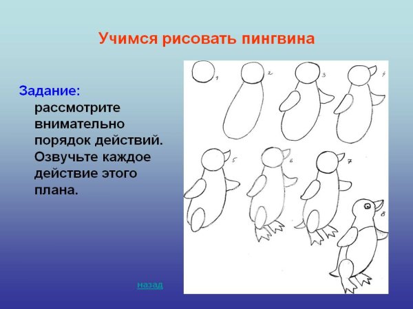 Пингвин пошаговое рисование