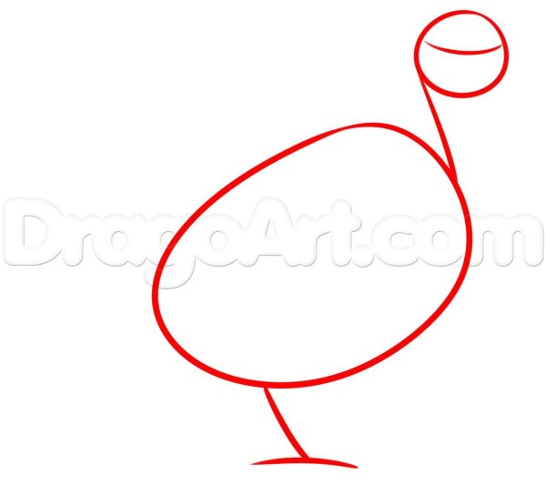 Куропатка нарисовать пошагово