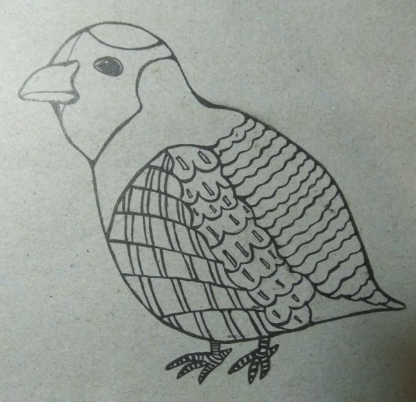 Куропатка гравюра