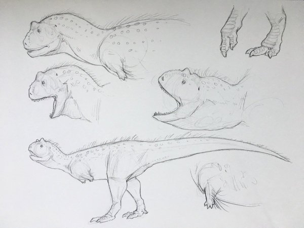 Карнотавр поэтапно