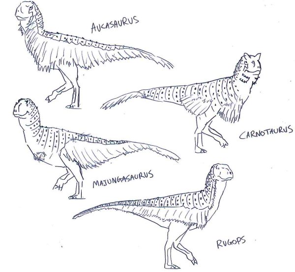 Ауказавр скелет