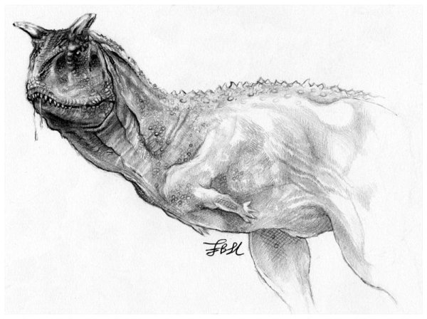 Карнотавр анатомия