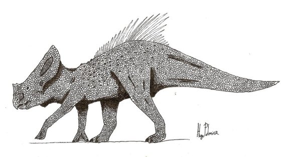 Карнотавр анфас