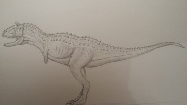 Карнотавр динозавр раскраска